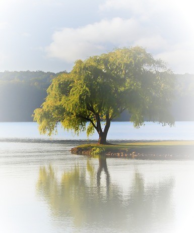 recent_obituary1